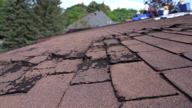 Professional Roofing Service in Koloa, HI